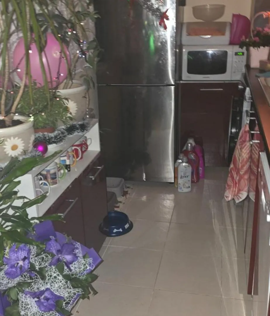 Чудесен Apartment Varna Bulgaria